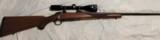 Ruger M77 Mark II 204 Ruger - 1 of 10