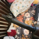 Winchester CMP M1 Garand 30-06 - 15 of 15