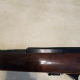 Weatherby MXII 22LR - 7 of 12