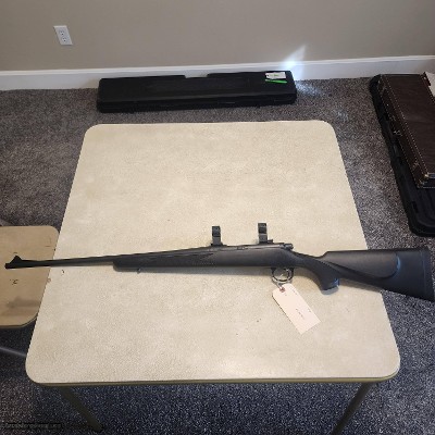 Remington 700 270