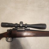Remington 700 BDL 243 - 5 of 11