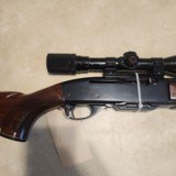 Remington 742 243 - 7 of 12