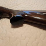 Remington 700 BDL 17Rem - 7 of 12