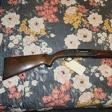 Remington 11-48 28 gauge.