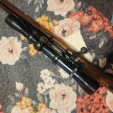 Remington Model 7 Mannlicher 243. - 14 of 16