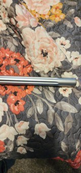 Remington 700 Sendero 22-250 - 7 of 12