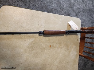 Remington 870 Express 410 gauge