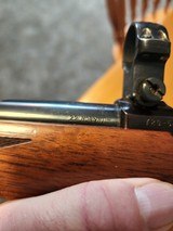 Ruger 77/22 in 22 hornet. - 2 of 10