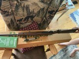 Remington 700 Classic 17 rem - 6 of 15