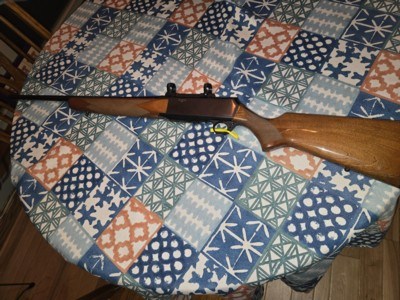 Browning BAR 243