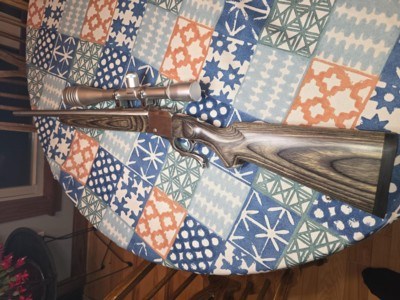 Ruger 1 stainless Varmint 22-250