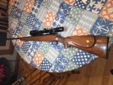 Remington 700 25-06