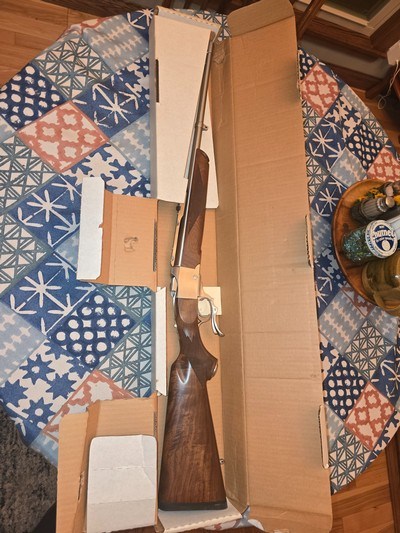 Ruger 1 Stainless 250 Savage