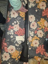 Remington 700 LVSF 17 Rem. - 4 of 8