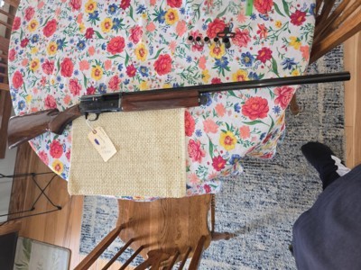 Browning A5 magnum twenty 20 gauge