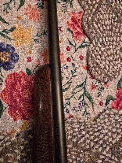 Kimber 8400 Classic 25-06 - Image 7 of 15