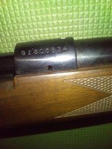 model 70 unfired NIB 22/250 wood stock with sights. box included. original tags included 100% - 4 of 9