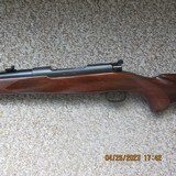 Winchester model 70 pre 64 300 H&H Mag. - 9 of 13