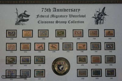 Ducks Unlimited 75th Anniversary Federal Migratory Waterfowl Cloissone Stamp Collection - Very Rare - Mint Condition