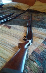 WINCHESTER HEAVY DUCK3 in mag. 30 full choke $2400. serial #1457925.- 5 of 15