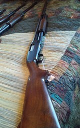 WINCHESTER HEAVY DUCK3 in mag. 30 full choke $2400. serial #1457925.- 15 of 15