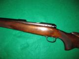 Pre 64 Winchester Model 70 Varmint .243 - 8 of 11