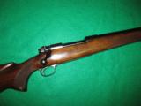 Pre 64 Winchester Model 70 Varmint .243 - 1 of 11