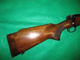 Pre 64 Winchester Model 70 Varmint .243 - 3 of 11