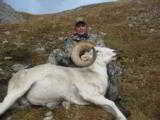 Guided Alaska Dall Sheep hunts - 2 of 16