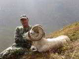 Guided Alaska Dall Sheep hunts - 15 of 16