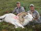 Guided Alaska Dall Sheep hunts - 1 of 16