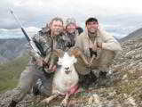 Guided Alaska Dall Sheep hunts - 5 of 16