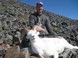 Guided Alaska Dall Sheep hunts - 13 of 16