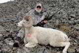Guided Alaska Dall Sheep hunts - 7 of 16