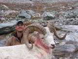Guided Alaska Dall Sheep hunts - 8 of 16