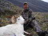 Guided Alaska Dall Sheep hunts - 6 of 16