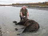 Guided Alaska Grizzly Bear Hunts - 5 of 10