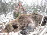 Guided Alaska Grizzly Bear Hunts - 10 of 10