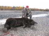 Guided Alaska Grizzly Bear Hunts - 9 of 10