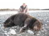Guided Alaska Grizzly Bear Hunts - 6 of 10