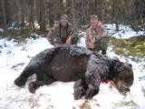 Guided Alaska Grizzly Bear Hunts - 1 of 10