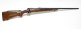 Pre 64 Winchester Model 70 Varmint 243 Near Mint! - 19 of 19