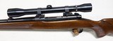 Pre 64 Winchester Model 70 243 Standard Weight Stone Mint! - 6 of 19