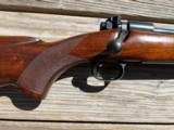 Winchester. Pre 64. Model 70. 250 SAVAGE - 10 of 20