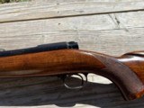 Winchester. Pre 64. Model 70. 250 SAVAGE - 8 of 20