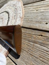 REMINGTON.700.Classic.250. Savage - 9 of 9