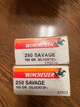 WINCHESTER.250. SAVAGE.SILVER. TIP - 1 of 3