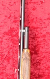 Winchester Grade 5 Pigeon 