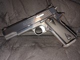Springfield Armory Omega 10mm - 1 of 14