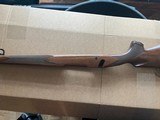 Winchester Stocks - 9 of 9